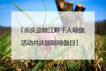 重庆嘉陵江畔千人瑜伽活动共庆国际瑜伽日