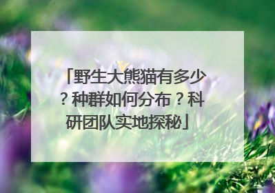 野生大熊猫有多少？种群如何分布？科研团队实地探秘