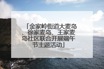 金家岭街道大麦岛、徐家麦岛、王家麦岛社区联合开展端午节主题活动