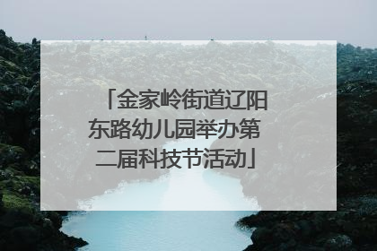 金家岭街道辽阳东路幼儿园举办第二届科技节活动