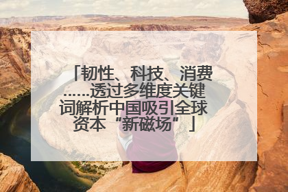 韧性、科技、消费……透过多维度关键词解析中国吸引全球资本“新磁场”