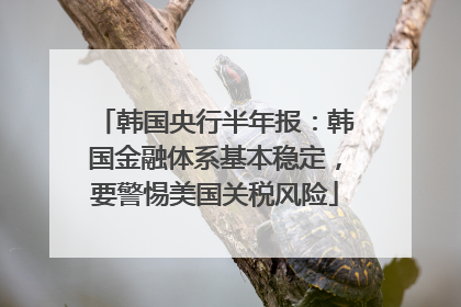 韩国央行半年报：韩国金融体系基本稳定，要警惕美国关税风险