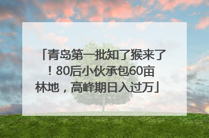 青岛第一批知了猴来了！80后小伙承包60亩林地，高峰期日入过万
