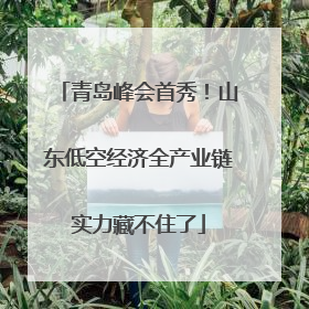 青岛峰会首秀！山东低空经济全产业链实力藏不住了