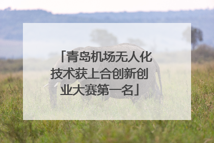 青岛机场无人化技术获上合创新创业大赛第一名