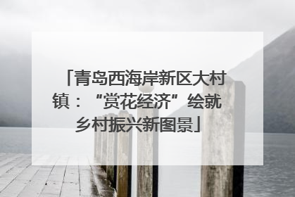 青岛西海岸新区大村镇：“赏花经济”绘就乡村振兴新图景