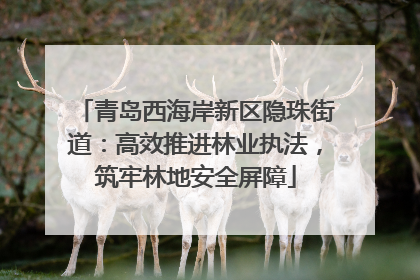 青岛西海岸新区隐珠街道：高效推进林业执法，筑牢林地安全屏障
