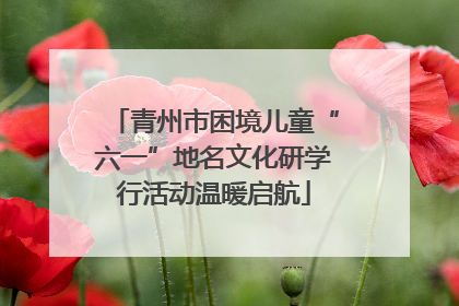 青州市困境儿童“六一”地名文化研学行活动温暖启航