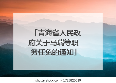 青海省人民政府关于马瑞等职务任免的通知