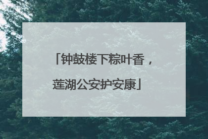钟鼓楼下粽叶香，莲湖公安护安康