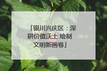 银川兴庆区：深耕价值沃土 绘制文明新画卷