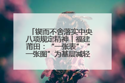 锲而不舍落实中央八项规定精神丨福建莆田：“一张表”“一张图”为基层减轻“数字负担”
