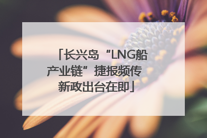 长兴岛“LNG船产业链”捷报频传 新政出台在即