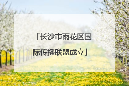 长沙市雨花区国际传播联盟成立