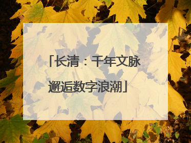长清：千年文脉邂逅数字浪潮