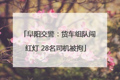 阜阳交警：货车组队闯红灯 28名司机被拘