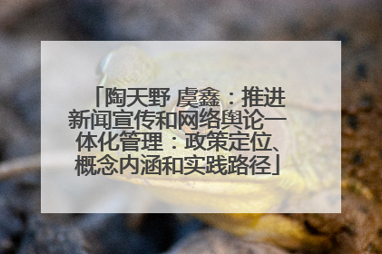 陶天野 虞鑫：推进新闻宣传和网络舆论一体化管理：政策定位、概念内涵和实践路径