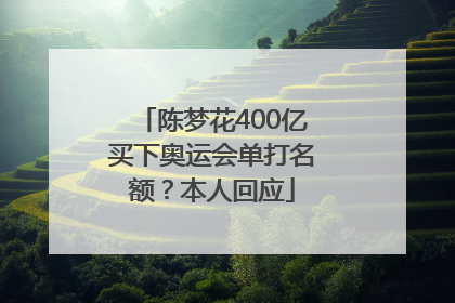 陈梦花400亿买下奥运会单打名额？本人回应