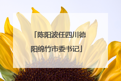 陈阳波任四川德阳绵竹市委书记