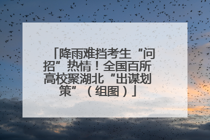 降雨难挡考生“问招”热情！全国百所高校聚湖北“出谋划策”（组图）