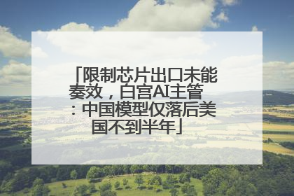 限制芯片出口未能奏效，白宫AI主管：中国模型仅落后美国不到半年