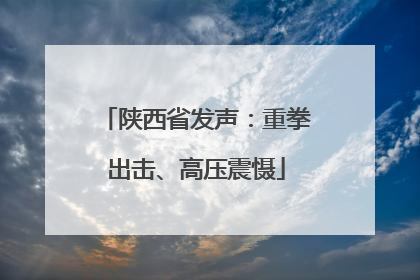 陕西省发声：重拳出击、高压震慑