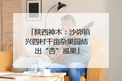陕西神木：沙峁镇兴四村千亩杂果园结出“杏”福果