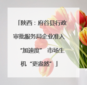 陕西：府谷县行政审批服务局企业准入“加速度” 市场生机“更盎然”