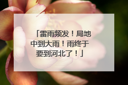 雷雨频发！局地中到大雨！雨终于要到河北了！
