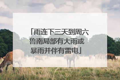 雨连下三天到周六 鲁南局部有大雨或暴雨并伴有雷电