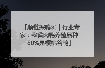 顺链探鸭④｜行业专家：我省肉鸭养殖品种80%是樱桃谷鸭