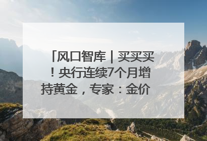 风口智库｜买买买！央行连续7个月增持黄金，专家：金价或仍易涨难跌
