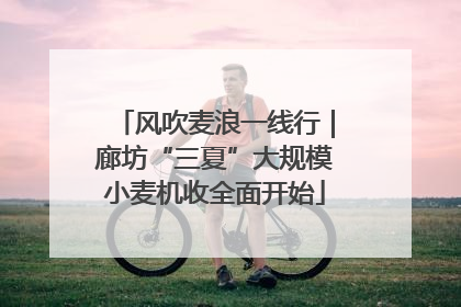 风吹麦浪一线行｜廊坊“三夏”大规模小麦机收全面开始