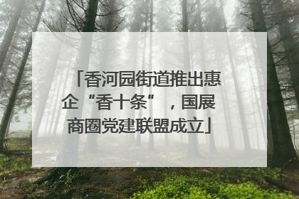 香河园街道推出惠企“香十条”，国展商圈党建联盟成立