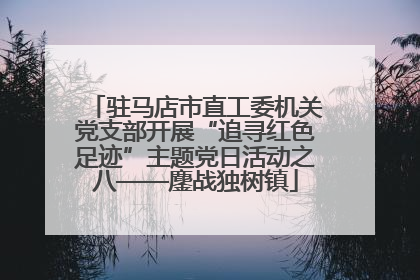 驻马店市直工委机关党支部开展“追寻红色足迹”主题党日活动之八——鏖战独树镇