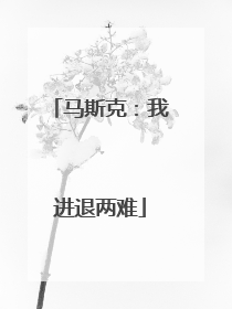 马斯克：我进退两难
