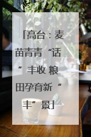 高台：麦苗青青“话”丰收 粮田孕育新“丰”景