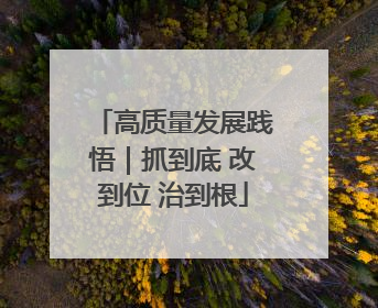 高质量发展践悟｜抓到底 改到位 治到根