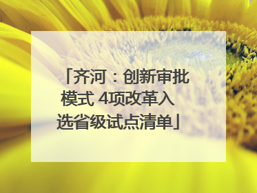 齐河：创新审批模式 4项改革入选省级试点清单