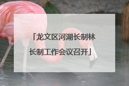 龙文区河湖长制林长制工作会议召开