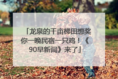 龙泉的千亩梯田想奖你一晚民宿一只鸡！《90早新闻》来了