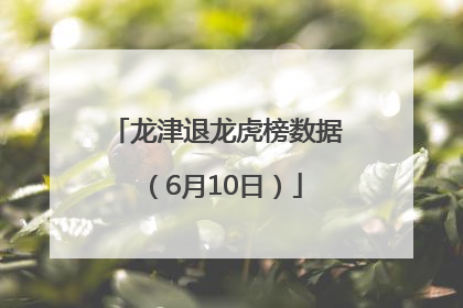 龙津退龙虎榜数据（6月10日）