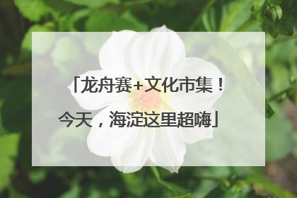 龙舟赛+文化市集！今天，海淀这里超嗨