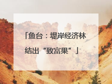 鱼台：堤岸经济林结出“致富果”