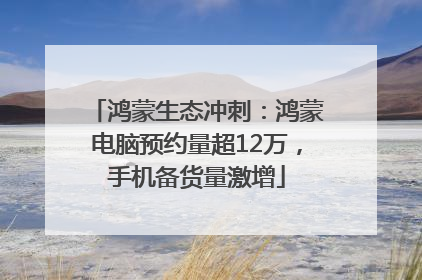 鸿蒙生态冲刺：鸿蒙电脑预约量超12万，手机备货量激增