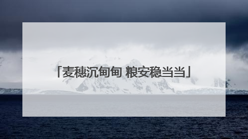 麦穗沉甸甸 粮安稳当当