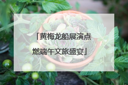 黄梅龙船展演点燃端午文旅盛宴