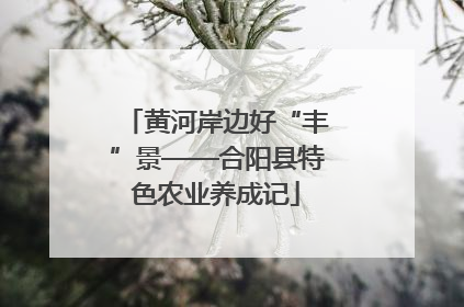 黄河岸边好“丰”景——合阳县特色农业养成记