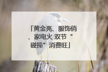 黄金亮、服饰俏、家电火 双节“碰撞”消费旺