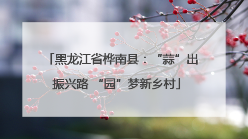 黑龙江省桦南县：“蒜”出振兴路 “园”梦新乡村